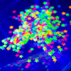 Close-up image of the UV neon stars in the tiny treasures kit